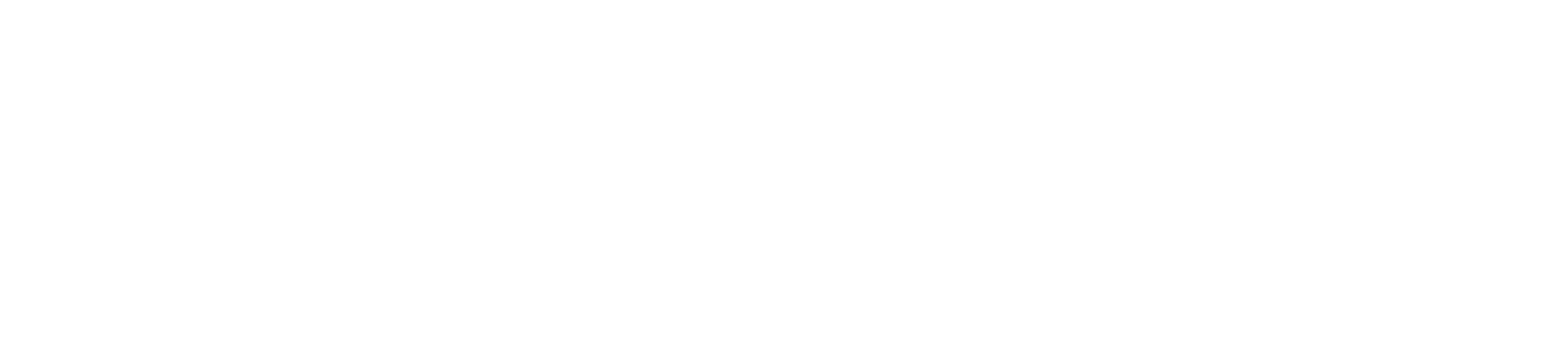 Donna Partow International